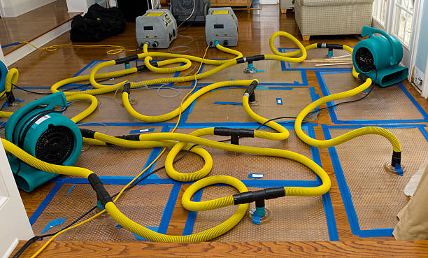 Professional Crawl Space Water Removal technician working in Nelson, MO